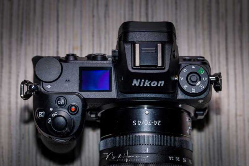Top Cameras for Capturing Dynamic Bird Moments